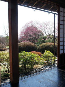 20100304_1195shuusei.jpg