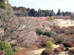 20100304_1205shuusei.jpg