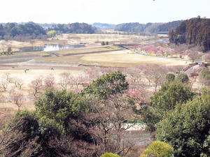 20100304_1207shuusei.jpg