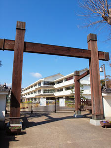 20100304_1219shuusei.jpg