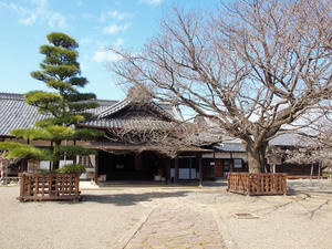 20100304_1273shuusei.jpg