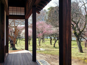 20100304_1231shuusei.jpg