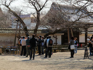 20100304_1245shuusei.jpg