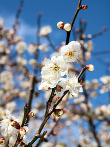 20100304_1260shuusei.jpg