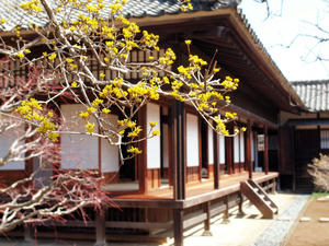 20100304_1263shuusei.jpg