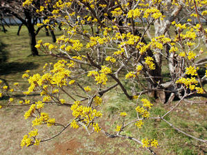 20100304_1265shuusei.jpg