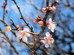 20100304_1270shuusei.jpg