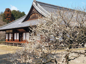 20100304_1271shuusei.jpg