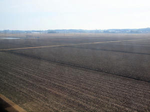 20100304_1288shuusei.jpg