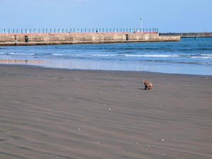 20100304_1291shuusei.jpg