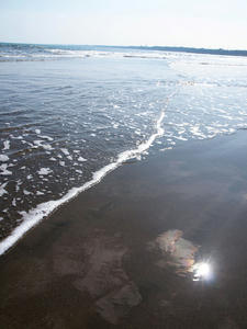 20100304_1296shuusei.jpg