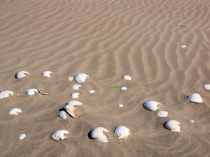 20100304_1301shuusei.jpg