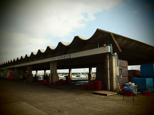20100304_1342shuusei.jpg