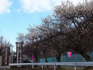 20100317_4shuusei.jpg