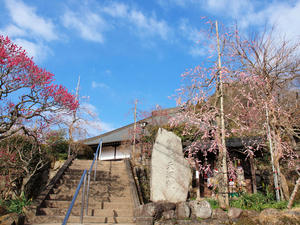 20100317_7shuusei.jpg