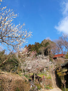 20100317_36shuusei.jpg