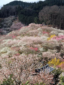 20100317_13shuusei.jpg