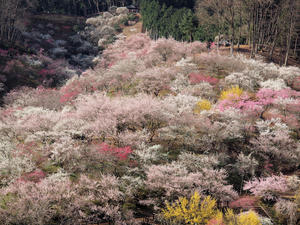 20100317_19shuusei.jpg