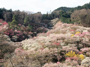 20100317_31shuusei.jpg