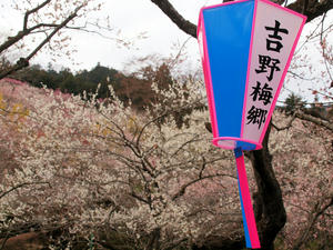 20100317_253shuusei.jpg
