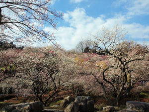 20100317_40shuusei.jpg