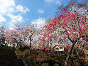 20100317_42shuusei.jpg