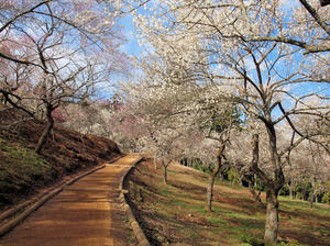 20100317_49shuusei.jpg