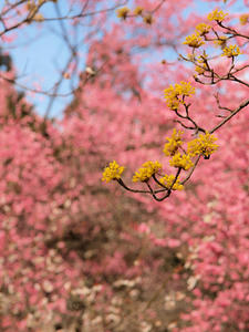 20100317_51shuusei.jpg