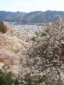 20100317_111shuusei.jpg