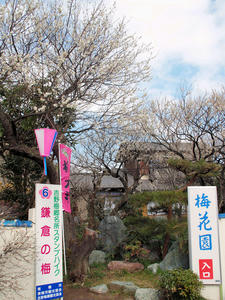 20100317_267shuusei.jpg