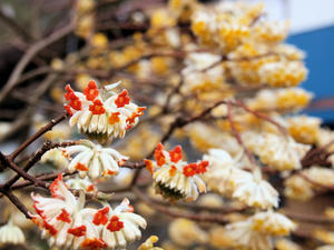 20100317_258shuusei.jpg