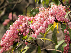 20100317_274shuusei.jpg