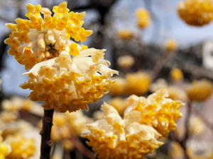 20100317_289shuusei.jpg