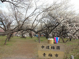 20100317_295shuusei.jpg