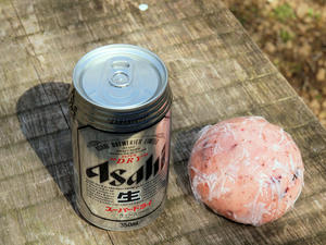 20100317_301shuusei.jpg