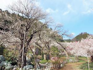 20100317_300shuusei.jpg