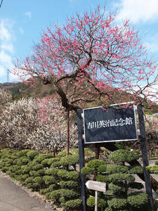 20100317_344shuusei.jpg