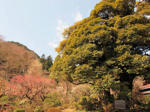20100317_359shuusei.jpg