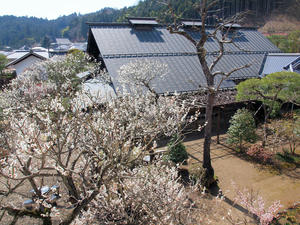 20100317_360shuusei.jpg