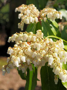 20100317_361shuusei.jpg
