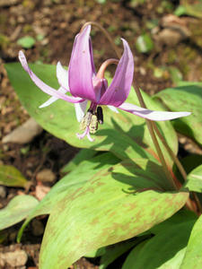 20100317_366shuusei.jpg