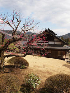 20100317_369shuusei.jpg