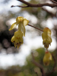 20100317_372shuusei.jpg