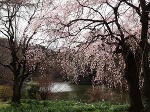 20100324_5shuusei.jpg