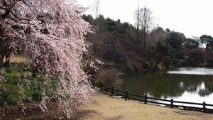 20100324_7shuusei.jpg