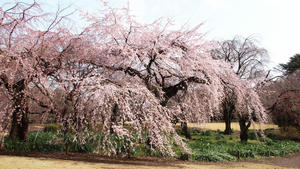 20100324_17shuusei.jpg