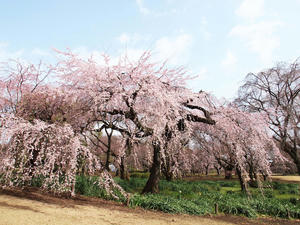 20100324_21shuusei.jpg