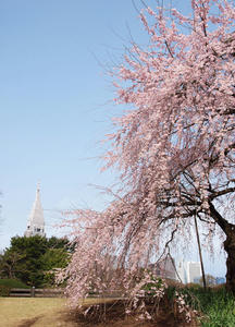 20100324_28shuusei.jpg