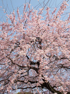 20100324_30shuusei.jpg