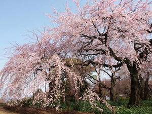 20100324_36shuusei.jpg